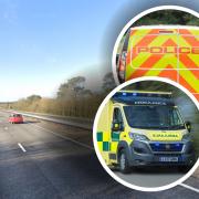 A person has died after being hit by a vehicle on the A11