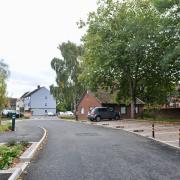 The spaces under trees at Squadron House in Martlesham Heath which a resident is unhappy about