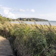 A new coastal path has opened in Suffolk