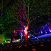 Two light trails are coming to Suffolk for the festive season