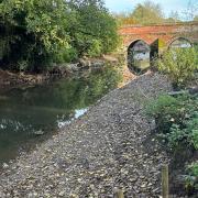 Debate surrounding the River Brett in Hadleigh has reignited