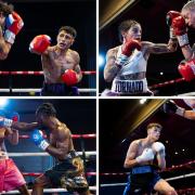 Clockwise from top left: Jack Williams, Eilish Tierney, Austin McGregor and Gideon Jonas all won their pro boxing bouts at Trinity Park on Saturday