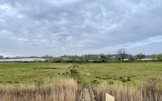 Suffolk councils to spend over £300,000 for wildlife community projects