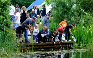 Children enjoy pond dipping in the Suffolk Show Wildlife Zone