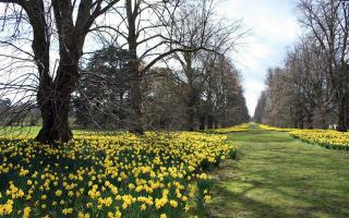 Nowton Park near Bury St Edmunds is one of the parks in Suffolk to receive the award