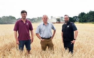 Andrew Blenkiron, managing director of the Elveden Estate, centre, with Nick Scantlebury, left, senior farms manager; and Rob Minty, forestry and conservation senior manager, in a barley field being harvested.