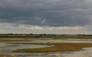 Suffolk's only island is preparing for its annual exploration event