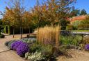 Bright colours on display in the Walled Garden at the Markshall Estate in Essex.