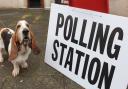 A polling station at a previous election. Picture: Victoria Pertusa