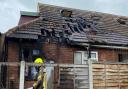 A marmoset monkey has died after a bungalow fire in Colchester