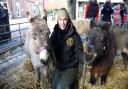 Kate with Dylan and Charlie from Baylham House Rare Breeds Farm, near Needham Market