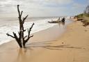 A walk along Covehithe beach