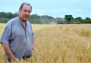 Glenn Buckingham at Helmingham Hall Farms