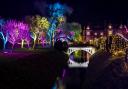 Here is everything you need to know about the Illuminated Garden Trail