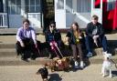 Southwold has been named among the best towns for a dog-friendly holiday