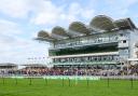 A racecourse in Suffolk has been named as having one of the highest attendance levels in the UK.