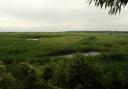 RSPB Minsmere on the Suffolk coast