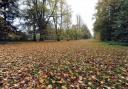 Nowton Park near Bury St Edmunds in autumn