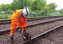 Weekend track renewal on East Suffolk Line starts end of November.