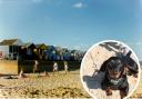 A town on the Suffolk coast has been named among one of the best dog-friendly holiday spots in the UK.