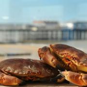 Cromer crab is one of Norfolk's most famous delicacies