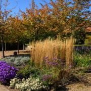 Bright colours on display in the Walled Garden at the Markshall Estate in Essex.