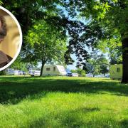 An Ipswich councillor has said the council is acting quickly to remove the travellers from Christchurch Park