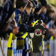 Sudbury reached the first round of the FA Cup last season