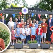 Former BBC royal correspondent, Jennie Bond (inset) has sent a message to the pupils at Acton Primary School near Sudbury, praising them for their superbloom