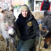 Kate with Dylan and Charlie from Baylham House Rare Breeds Farm, near Needham Market