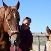 This breed of horse is a Suffolk icon - but what is it called? Take our quiz and test your knowledge