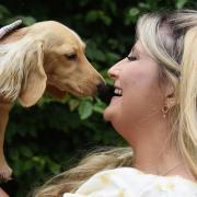 Instagram dog star Eevee, with her owner Kitty Brandon, who invited local sausage dogs to a picnic