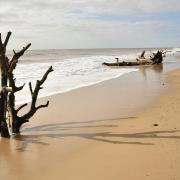 A walk along Covehithe beach