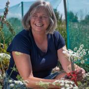 Jane tending to the flowers on Oak Tree Community Farm.