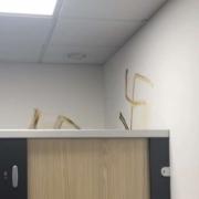 Swastika's painted on wall of PureGym toilets