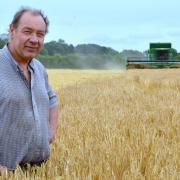 Glenn Buckingham at Helmingham Hall Farms