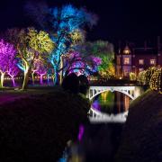 Here is everything you need to know about the Illuminated Garden Trail