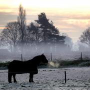 A cold weather alert has been issued for Suffolk this week