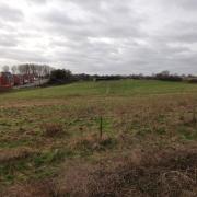 A plot of land in Gulpher Road in Felixstowe, which has been earmarked for a school