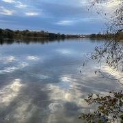 Whitlingham Broad