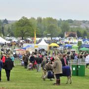 Here is all you need to know about the Hadleigh Show 2024