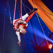 A circus with performers described as 