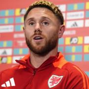 Wes Burns came off the bench in Wales' 2-2 draw against Iceland last week