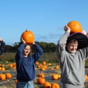 Southwold Pumpkin Patch at Old Hall Farm, Reydon