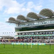 A racecourse in Suffolk has been named as having one of the highest attendance levels in the UK.