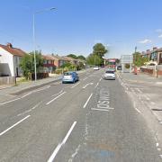 A small dog died after being hit by a car in Colchester