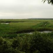 RSPB Minsmere on the Suffolk coast