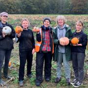 Christopher Morton, Fiona Strachan, Laura Caunter, Roz Scott, Mary Spratt, Jess Livsey and Rowen Halstead volunteering