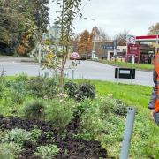 The chair of Sudbury in Bloom is calling for the 