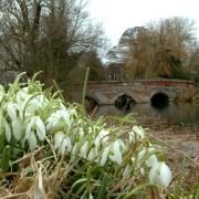 Repair work on the bridge will take place next month